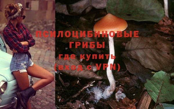 таблы Алексеевка